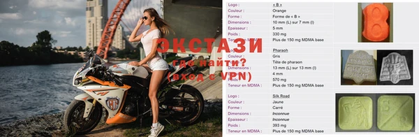 стаф Аркадак