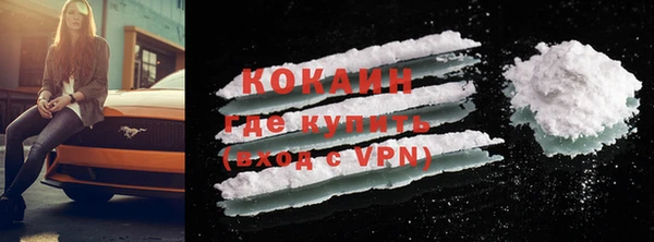 стаф Аркадак