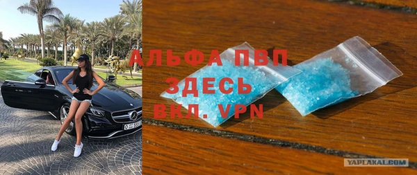 молекула духа Арсеньев
