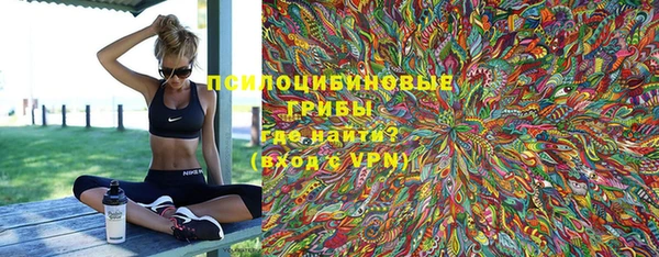 молекула духа Арсеньев