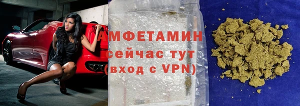 молекула духа Арсеньев