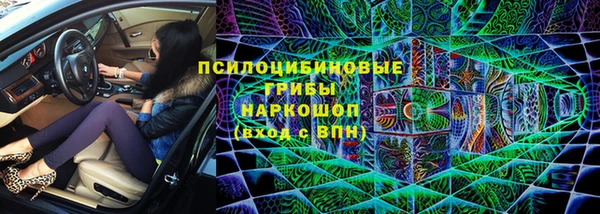 молекула духа Арсеньев
