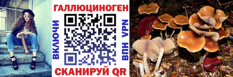 Галлюциногенные грибы MAGIC MUSHROOMS  блэк спрут ТОР  Староминская 