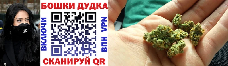 Конопля Bruce Banner Староминская